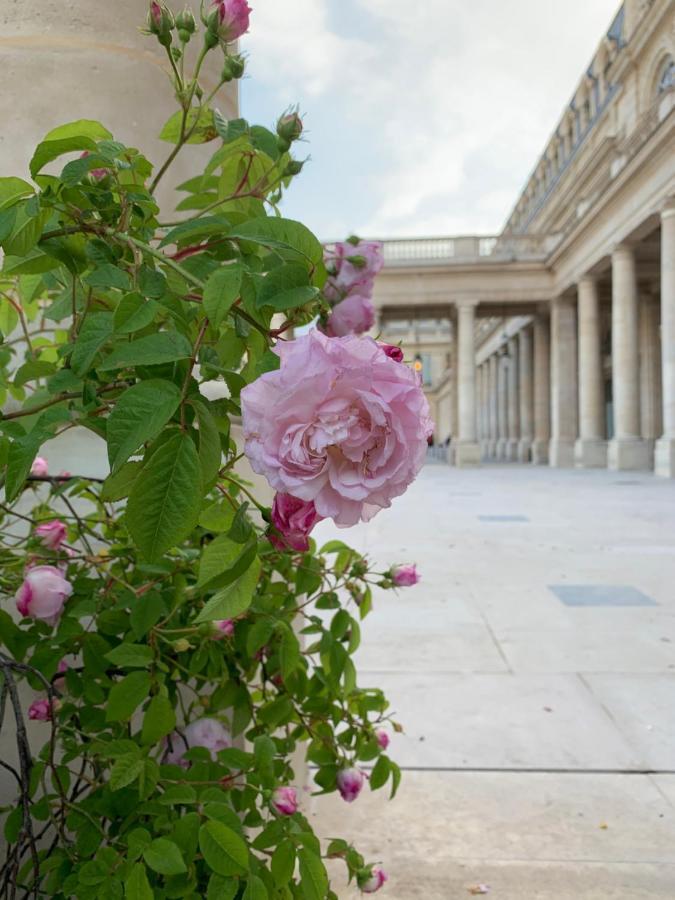 Appartment Near Louvre, Central Paris Exterior photo